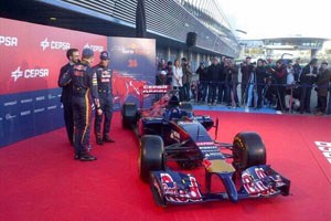 toro-rosso1jpg